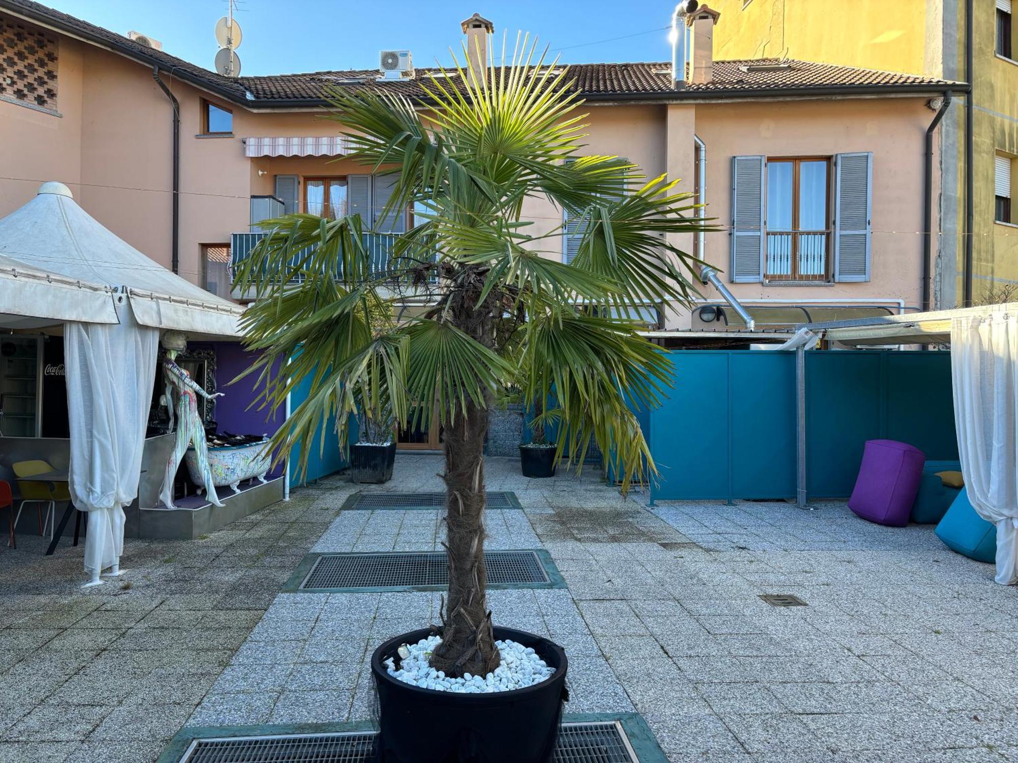 Le Camere Del Sal8 Al Parco Villasanta Esterno foto